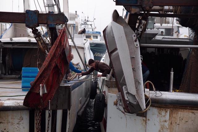 Amarrando el barco